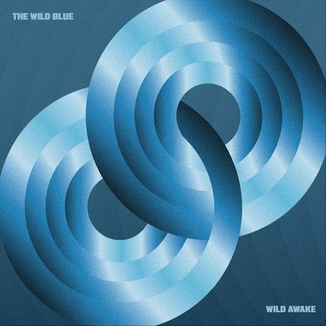 Cover of Wild Awake: two interlocking blue rings